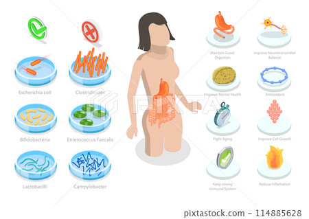 3D Isometric Flat  Conceptual Illustration of Medical Bacteria, Healthy Eating for Gut 114885628