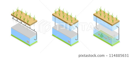 3D Isometric Flat  Conceptual Illustration of Growing Systems, Greenhouse Agriculture Methods 114885631