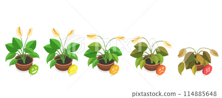 3D Isometric Flat Conceptual Illustration of Dying Plant, Phases a Flower Withering 3D Isometric Flat Conceptual Illustration of Dying Plant, Phases a Flower Withering 114885648