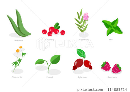 3D Isometric Flat  Set of Medical Herbs And Berries, Natural Herbal Medication 114885714