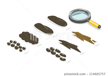 3D Isometric Flat Illustration of Bristol Stool Chart, Faeces Type Images and Description 3D Isometric Flat Illustration of Bristol Stool Chart, Faeces Type Images and Description 114885757