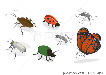 3D Isometric Flat  Set of Insects, Bug, Mosquito, Fly, Cockroach, Butterfly 114885851