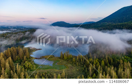 Aerial View of Canadian Nature on West Coast of Pacific Ocean. Aerial View of Canadian Nature on West Coast of Pacific Ocean. 114886067