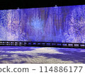 Ashikaga Flower Park Illuminations 114886177