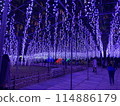 Ashikaga Flower Park Illuminations 114886179