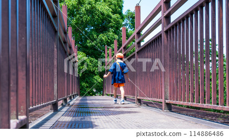 Nursery school children walking on a footbridge, back view Nursery school children walking on a footbridge, back view 114886486