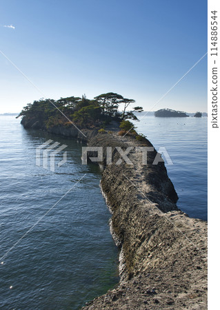 [Miyagi Prefecture] Matsushima's Horseback 114886544