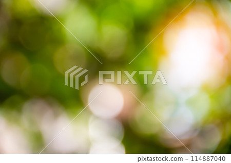 The image is a blurry 114887040