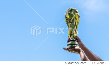 A person is holding a gold trophy in their hands 114887042