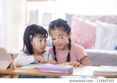 Sisters doing homework in the living room 114887505