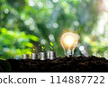 A light bulb is surrounded by three coins and a plant 114887722