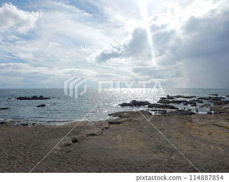 黑崎的鼻子 114887854