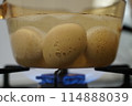 Image of cooking eggs, hot spring eggs, boiled eggs 114888039