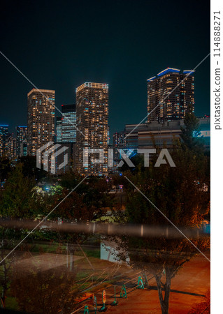 Tokyo Toyosu Night View 114888271