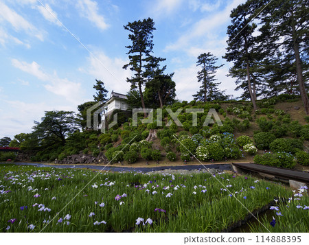 Odawara Castle Park in Spring and Early Summer 114888395