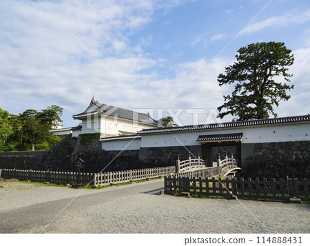 春天和初夏的小田原城址公園 春天和初夏的小田原城址公園 114888431
