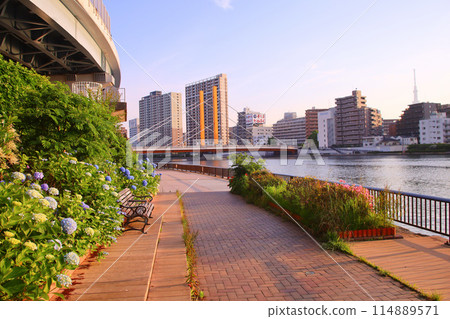 Tokyo: Sumida River and Sumida River Terrace Tokyo: Sumida River and Sumida River Terrace 114889571