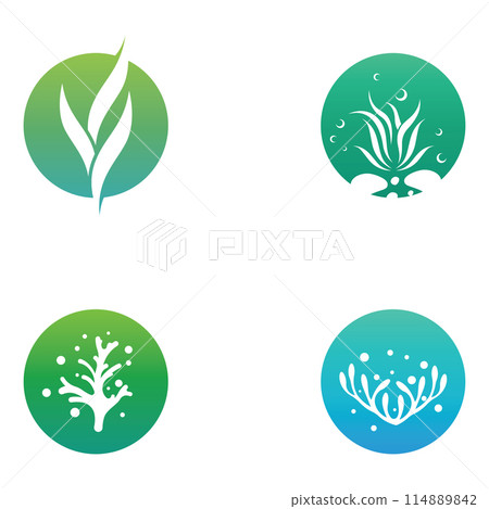 Seaweed logo with template illustration vector design. 114889842