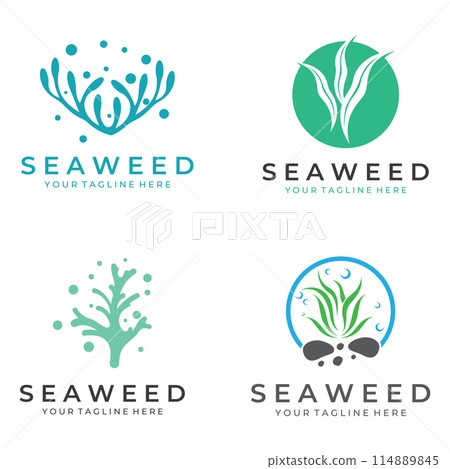 Seaweed logo with template illustration vector design. 114889845