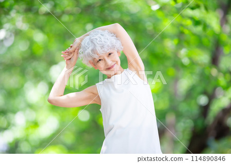 Gray hair woman, fresh green, growth Gray hair woman, fresh green, growth 114890846