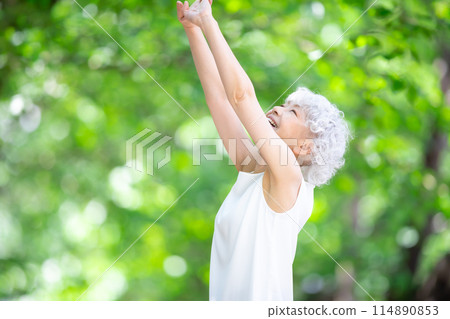 Gray hair woman, fresh green, growth 114890853