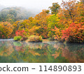 Kamoi pond in autumn leaves 114890893