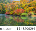 Kamoi pond in autumn leaves 114890894