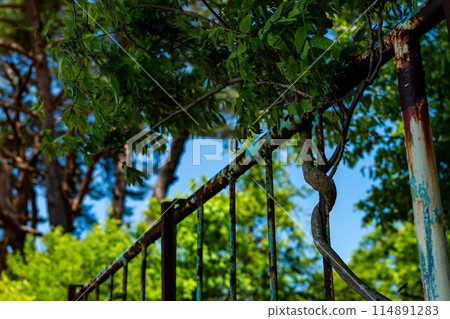 Branches and leaves wrapped around the railing 114891283
