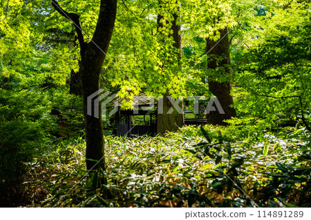 花園盡頭可見大門 花園盡頭可見大門 114891289