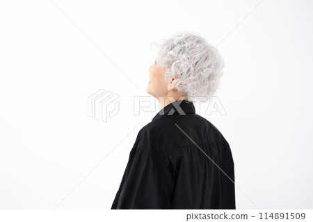 有灰色頭髮的時髦的資深婦女 114891509