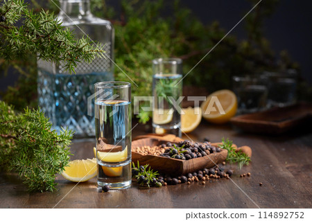 Gin with ingredients on an old wooden table. Gin with ingredients on an old wooden table. 114892752