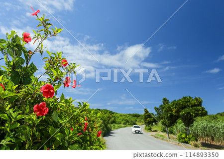 夏季沖繩開車 114893350