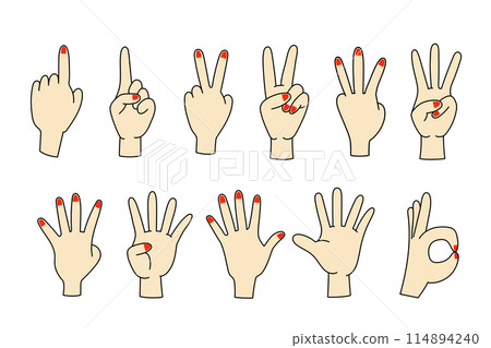 各種手顏色的向量插圖集 114894240