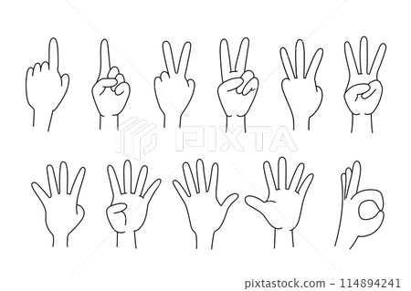 Vector illustration set of various hands Vector illustration set of various hands 114894241