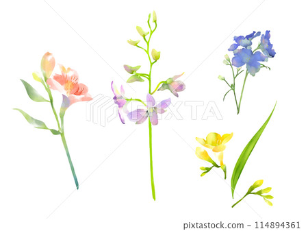 Watercolor spring flowers set 114894361