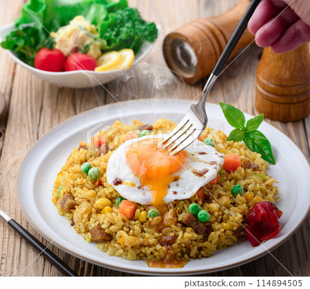 Dry curry Curry pilaf 114894505