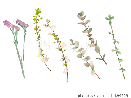 水彩新鮮綠色樹枝集 114894509