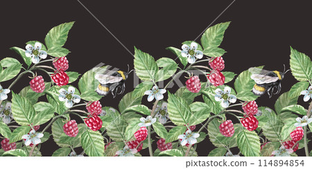 Seamless border on a colored background of flowers, leaves, raspberries watercolor illustration on a white background. Hand-drawn raspberry flowers and leaves for cookbooks, dessert recipes . 114894854