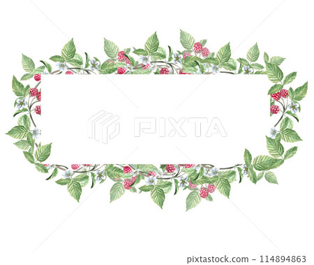 Rectangular frame of raspberry branches, with a jar of jam, a bee, berries and flowers in a watercolor illustration on a white background. Hand drawn frame for cookbooks, invitations, cards. 114894863