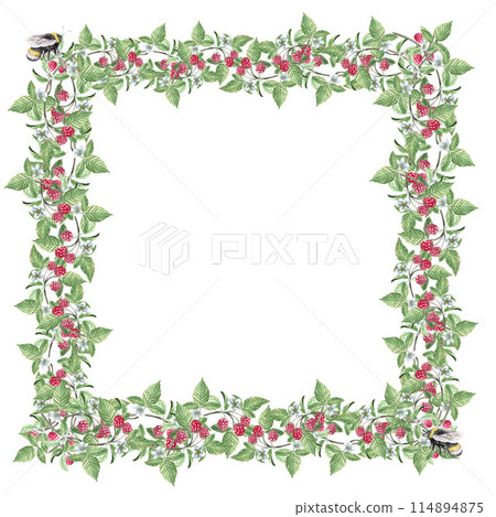 Square frame of raspberry branches, with a jar of jam, a bee, berries and flowers in a watercolor illustration on a white background. Hand drawn wreath for cookbooks, invitations, cards Square frame of raspberry branches, with a jar of jam, a bee, berries and flowers in a watercolor illustration on a white background. Hand drawn wreath for cookbooks, invitations, cards 114894875