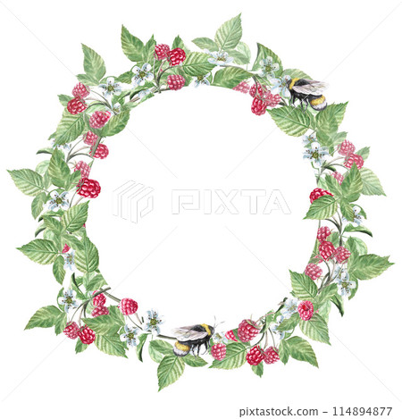A wreath of raspberry branches, with a jar of jam, a bee, berries and flowers in a watercolor illustration on a white background. Hand drawn wreath for cookbooks, invitations, cards. 114894877