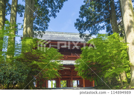 Mount Koya: Green leaves and the Daimon Gate Mount Koya: Green leaves and the Daimon Gate 114894989