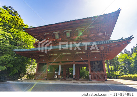 Mount Koya: Green leaves and the Daimon Gate 114894991