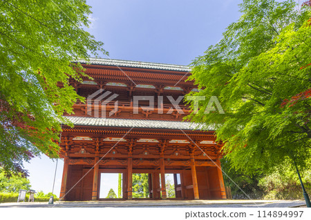 Mount Koya: Green leaves and the Daimon Gate Mount Koya: Green leaves and the Daimon Gate 114894997