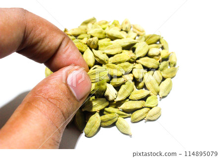 A picture of cardamom with selective focus A picture of cardamom with selective focus 114895079