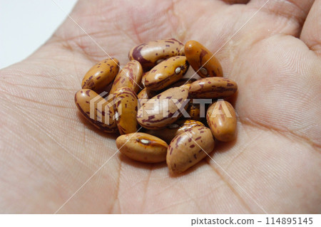 A picture of red kidney beans with selective focus A picture of red kidney beans with selective focus 114895145