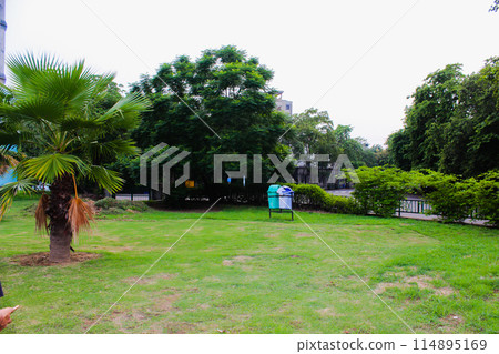 A picture of green garden 114895169