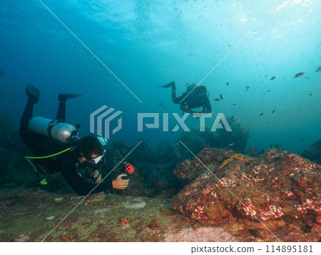 潛水員在中性浮力下拍照（泰王國，斯米蘭海洋國家公園，達猜島周圍） 114895181