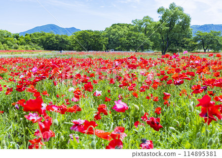 National Park Michinoku Lakeside Park Kababo Lake Miyagi Prefecture 114895381