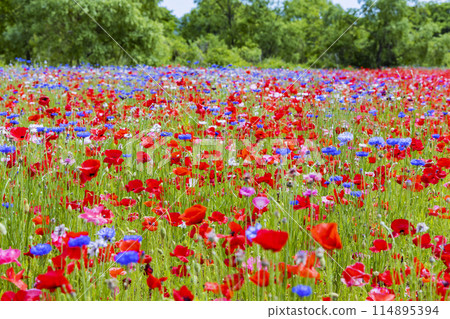 National Park Michinoku Lakeside Park Kababo Lake Miyagi Prefecture National Park Michinoku Lakeside Park Kababo Lake Miyagi Prefecture 114895394